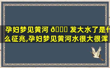 孕妇梦见黄河 🐅 发大水了是什么征兆,孕妇梦见黄河水很大很浑浊是什么意思